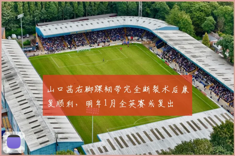 山口茜右脚踝韧带完全断裂术后康复顺利,明年1月全英赛或复出